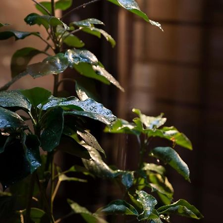 Kanazawa Machiya Kenroku Buitenkant foto