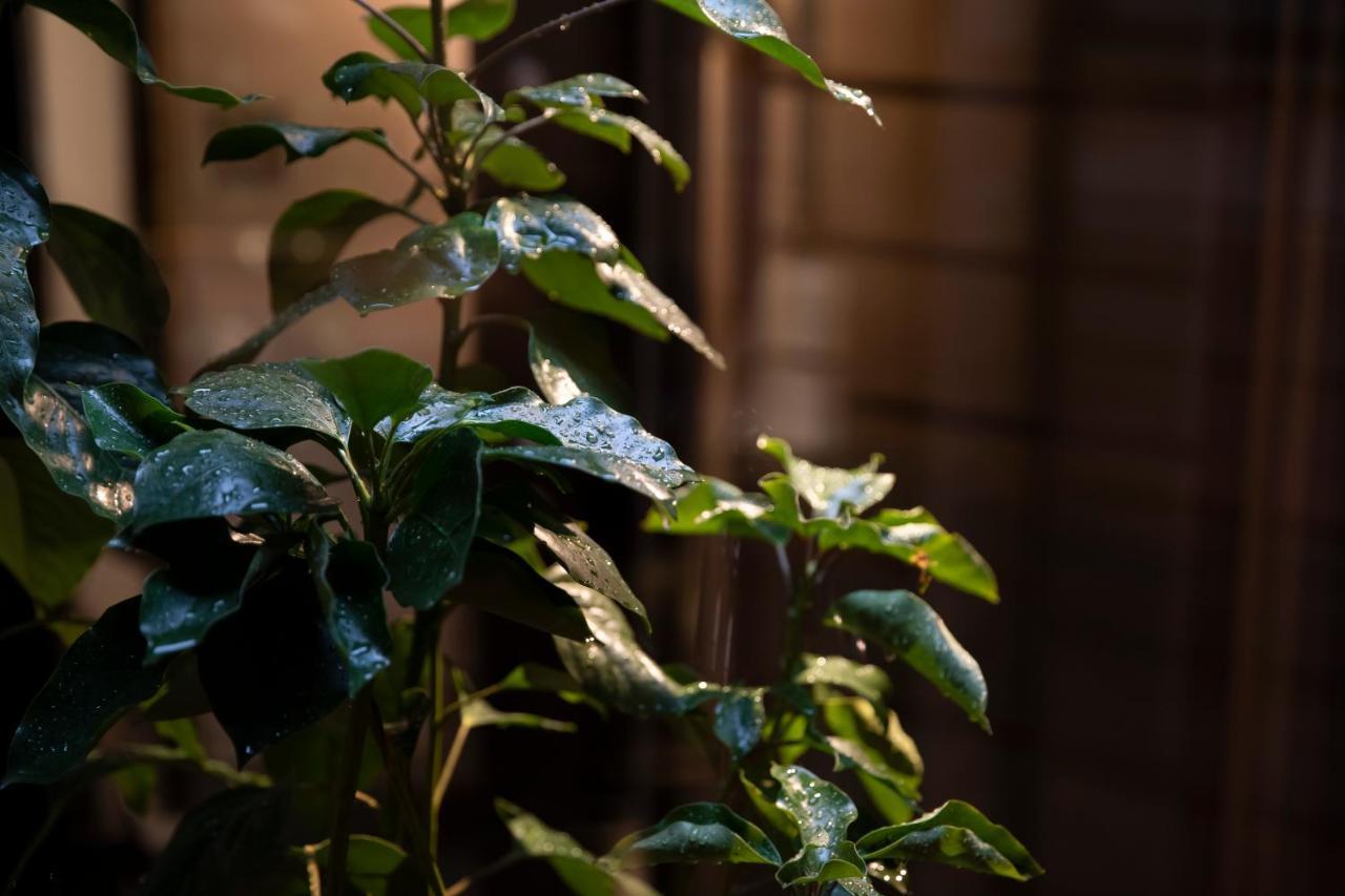 Kanazawa Machiya Kenroku Buitenkant foto